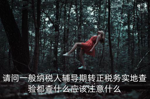請問一般納稅人輔導期轉(zhuǎn)正稅務(wù)實地查驗都查什么應(yīng)該注意什么