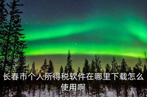 長(zhǎng)春市個(gè)人所得稅軟件在哪里下載怎么使用啊