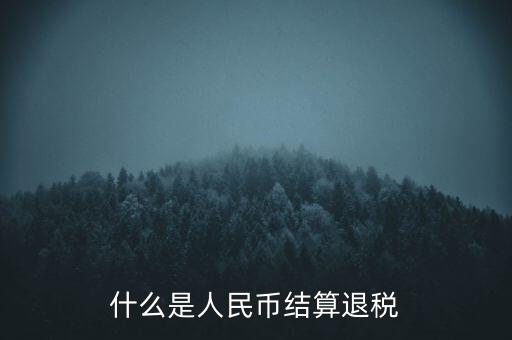 匯算結(jié)算退稅是什么，什么是人民幣結(jié)算退稅