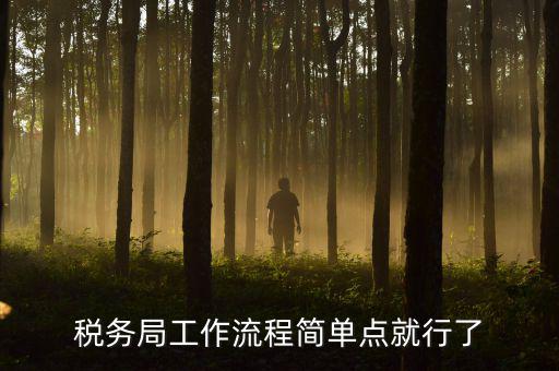 稅務(wù)局上班要什么手續(xù)，稅務(wù)局工作流程簡單點(diǎn)就行了