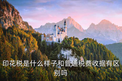 稅花什么樣，印花稅是什么樣子和普通稅費(fèi)收據(jù)有區(qū)別嗎