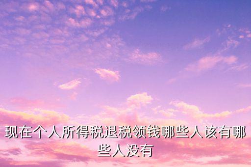 現(xiàn)在個(gè)人所得稅退稅領(lǐng)錢哪些人該有哪些人沒(méi)有