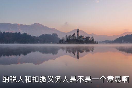 稅務(wù)人是什么，什么是納稅義務(wù)人