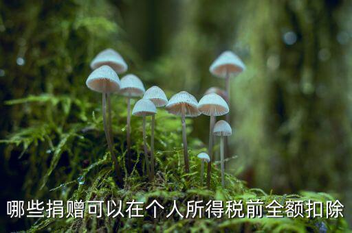 什么捐贈可以稅前扣除，求助企業(yè)在所得稅前可以扣除的捐贈支出