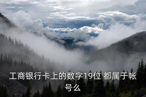工行19位賬號(hào)應(yīng)用號(hào)是什么，請(qǐng)解釋工商銀行19位帳號(hào)的組成含義