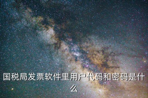 發(fā)票認(rèn)證平臺(tái)登錄密碼是什么情況，國(guó)稅局發(fā)票軟件里用戶代碼和密碼是什么