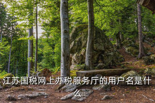 江蘇國稅用戶名密碼是什么意思，江蘇國稅網上辦稅服務廳的用戶名是什么