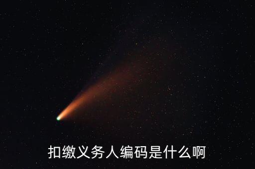 江西扣繳義務人編碼是什么，扣繳義務人編碼是什么號它和納稅人識別號是一個號嗎