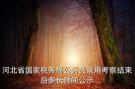 國稅一般什么時(shí)候公示，河北省國家稅務(wù)局公務(wù)員錄用考察結(jié)束后多長時(shí)間公示