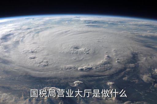 辦稅服務(wù)廳都做些什么，辦稅服務(wù)廳的基本服務(wù)包括哪些