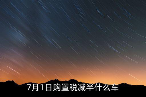 車稅減半針對什么車，101以后購車附加費減半 包含哪些車型