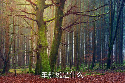 摩托車(chē)車(chē)船稅是什么，摩托車(chē)也收車(chē)船稅嗎