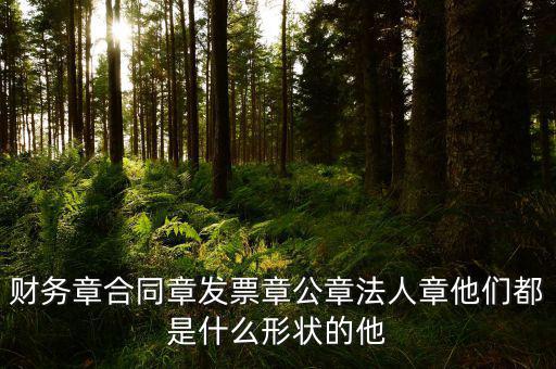 財務章合同章發(fā)票章公章法人章他們都是什么形狀的他