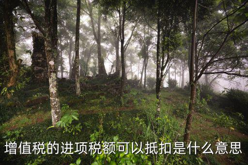 進(jìn)項(xiàng)抵扣是什么，增值稅的進(jìn)項(xiàng)稅額可以抵扣是什么意思