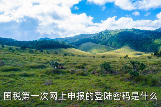 浙江國(guó)稅登入密碼是什么意思，稅務(wù)局網(wǎng)站的登入賬戶初始密碼是什么