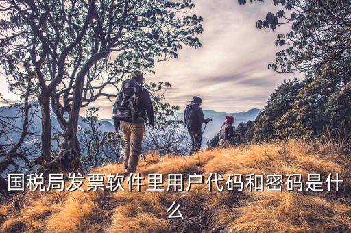 網(wǎng)絡(luò)開票系統(tǒng)默認(rèn)密碼是什么，國稅局發(fā)票軟件里用戶代碼和密碼是什么