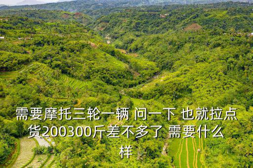 需要摩托三輪一輛 問一下 也就拉點(diǎn)貨200300斤差不多了 需要什么樣