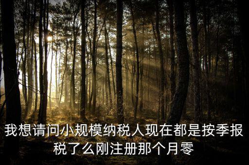 小規(guī)模什么時(shí)候零申報(bào)，增值稅小規(guī)模納稅人免稅零申報(bào)的歸屬期間