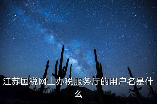 江蘇國稅用戶名密碼是什么，江蘇國稅網(wǎng)上辦稅服務(wù)廳的用戶名是什么
