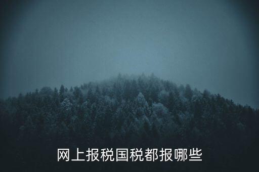 國稅云辦稅廳都報什么，你好我是新手我想問一下前輩國稅每月季年都報什么報表