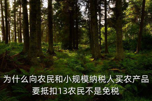 農(nóng)產(chǎn)品為什么要扣除，為什么向農(nóng)民和小規(guī)模納稅人買農(nóng)產(chǎn)品要抵扣13農(nóng)民不是免稅