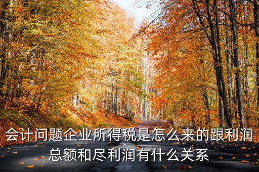 企業(yè)所得稅和什么有關(guān)，增值稅和企業(yè)所得稅有關(guān)系么
