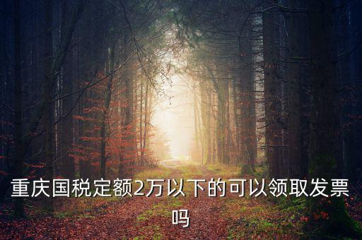 重慶用的什么定額發(fā)票，重慶國(guó)稅定額2萬(wàn)以下的可以領(lǐng)取發(fā)票嗎