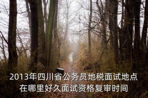 2016年四川地稅資格復(fù)審什么時(shí)候，大概什么時(shí)候資格復(fù)審啊