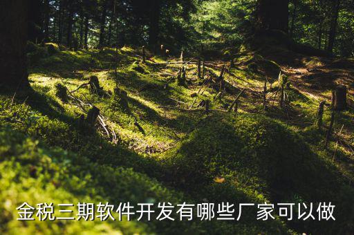 金稅三期軟件開(kāi)發(fā)有哪些廠(chǎng)家可以做