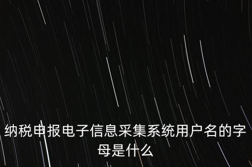 江蘇國稅電子稅務(wù)局登錄用戶名是什么意思，江蘇國稅網(wǎng)上辦稅服務(wù)廳的用戶名是什么