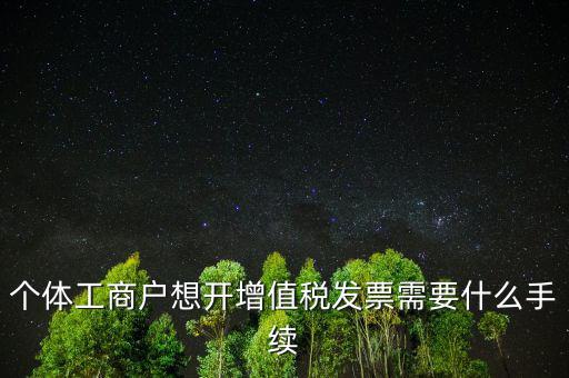 個(gè)體工商戶(hù)想開(kāi)增值稅發(fā)票需要什么手續(xù)