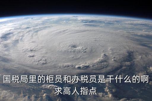 什么叫辦稅員，國稅局里的柜員和辦稅員是干什么的啊求高人指點