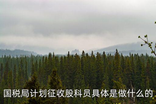 國稅局計(jì)劃征收股科員具體是做什么的