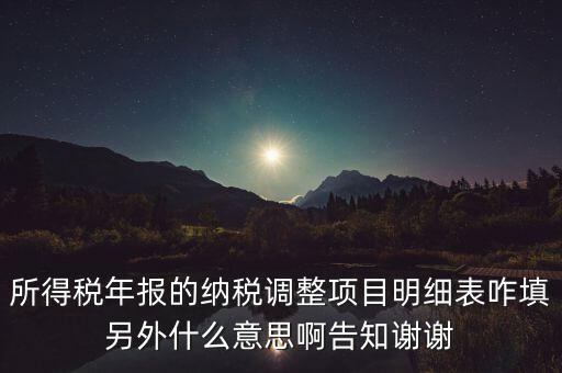 納稅調(diào)整項目明細表是什么意思，稅后調(diào)整是什么意思