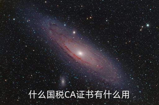 國(guó)稅ca登錄是什么，什么國(guó)稅CA證書有什么用