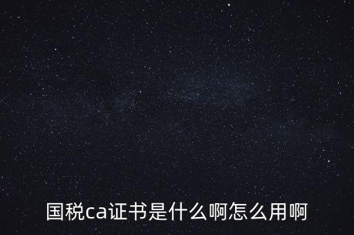 國(guó)稅ca證書是什么啊怎么用啊