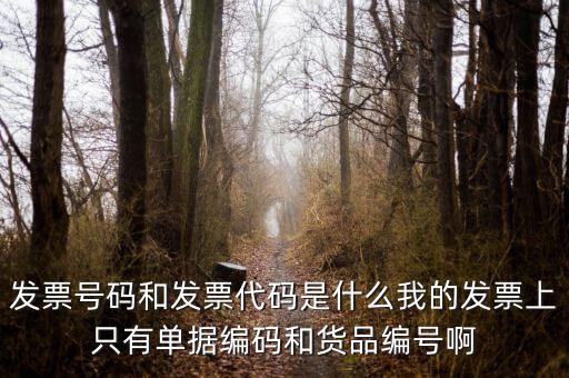 發(fā)票結(jié)存號(hào)碼是什么，發(fā)票號(hào)碼是指哪個(gè)號(hào)碼