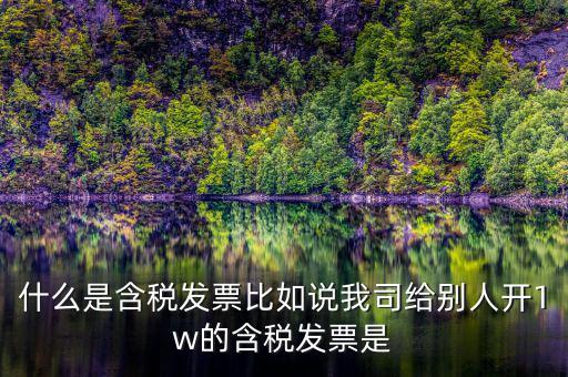 什么行業(yè)一般人發(fā)票含稅，什么類納稅人可以開增值稅專用發(fā)票