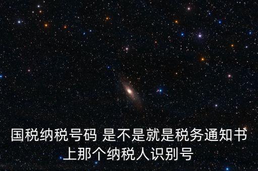 國(guó)稅稅務(wù)號(hào)是什么意思，國(guó)稅納稅號(hào)碼 是不是就是稅務(wù)通知書上那個(gè)納稅人識(shí)別號(hào)