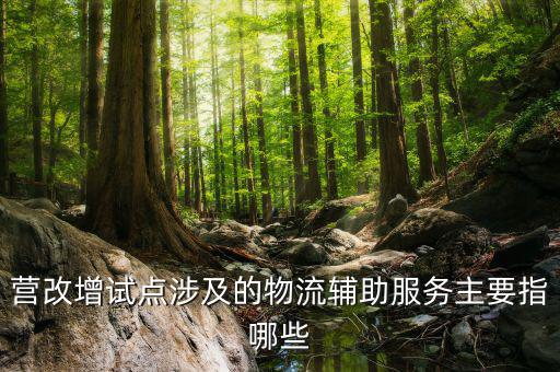 物流輔助服務(wù)屬于什么服務(wù)，貨物配服務(wù)屬于哪個(gè)行業(yè)