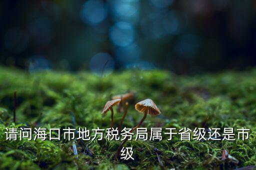 請(qǐng)問?？谑械胤蕉悇?wù)局屬于省級(jí)還是市級(jí)