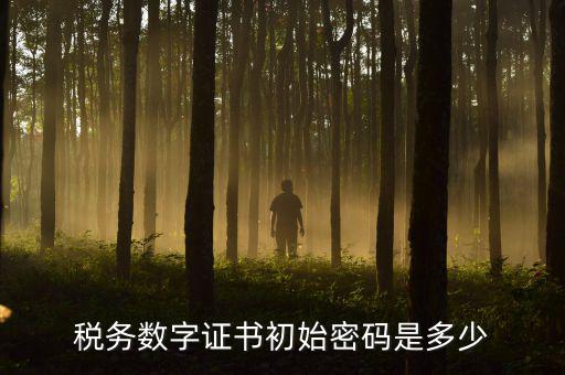 地稅數(shù)字證書的密碼是什么，稅控證書密碼是多少只有可能是8位嗎