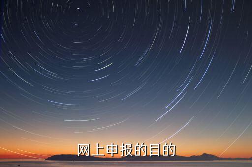 電子化辦稅什么意思，網(wǎng)上申報的目的