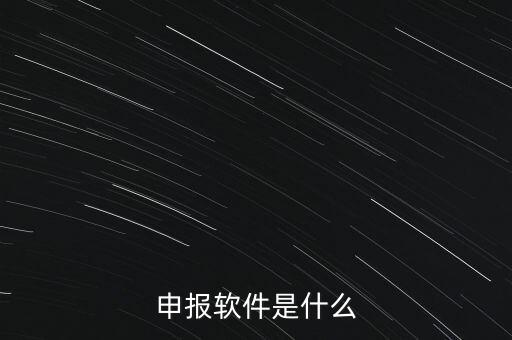 增值稅申報(bào)用什么軟件，申報(bào)軟件是什么