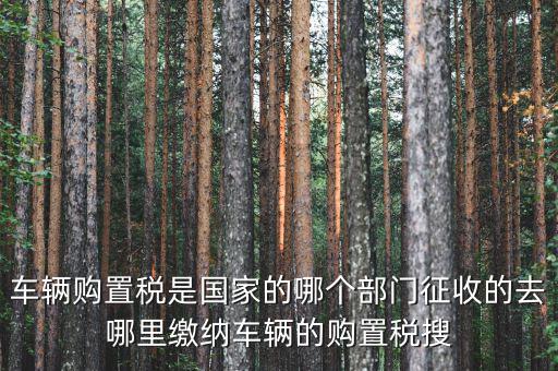 車購稅局屬于什么，車輛購置稅是國家的哪個部門征收的去哪里繳納車輛的購置稅搜