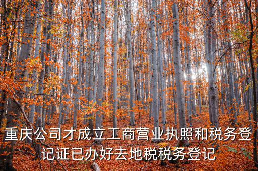 重慶公司才成立工商營(yíng)業(yè)執(zhí)照和稅務(wù)登記證已辦好去地稅稅務(wù)登記