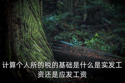 稅金的計算基礎是什么，計稅基礎是什么意思