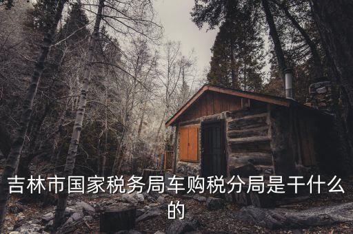車購(gòu)稅局主要干什么，新車去地稅局干什么