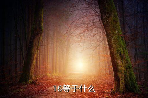 什么深圳1 6政策指，16等于什么