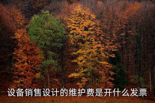 開票維護費是什么，設備銷售設計的維護費是開什么發(fā)票